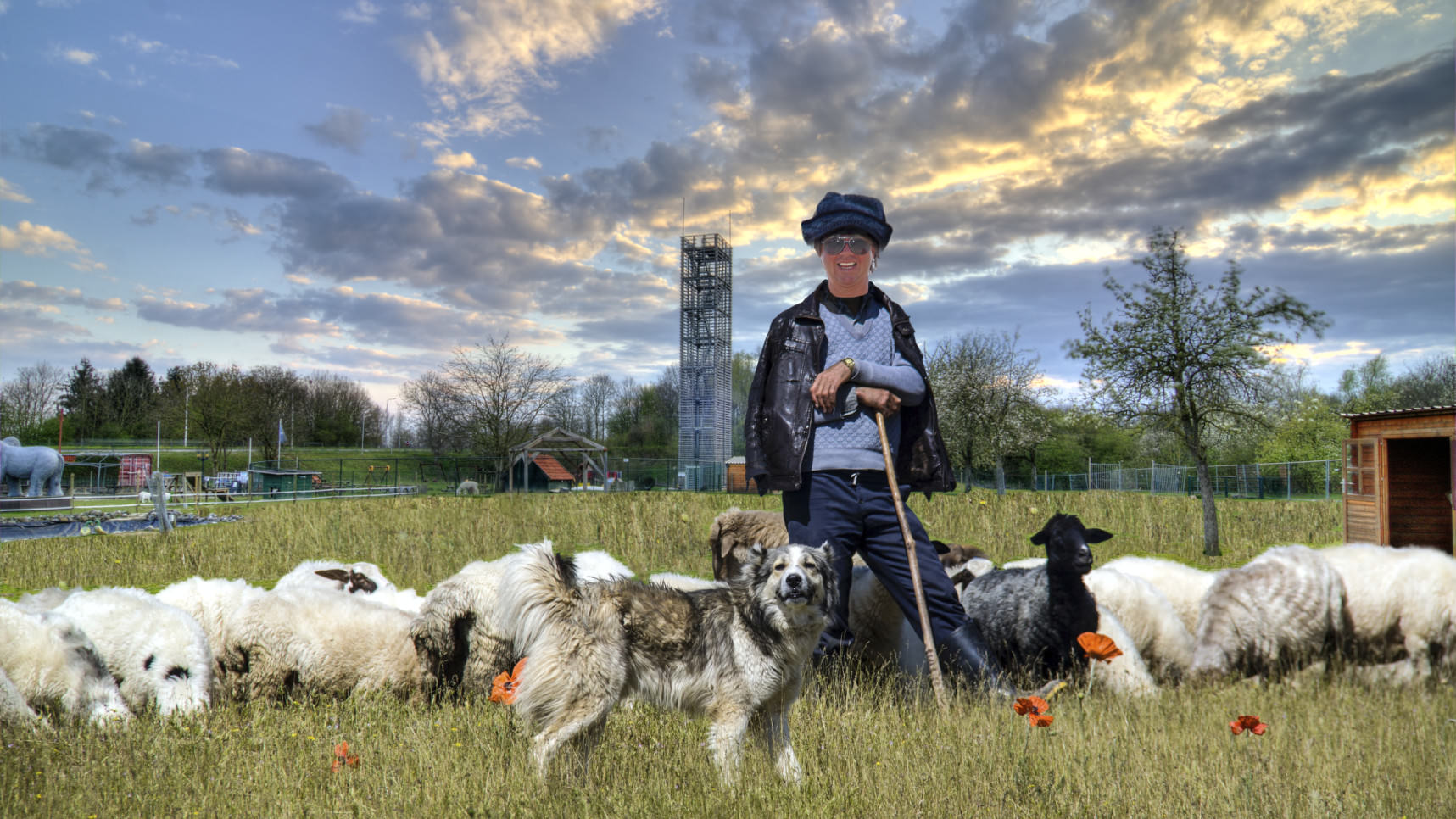 Background picture of the Foolish Shepherd with his dog and sheeps