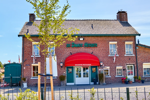 De Dwaze Herder